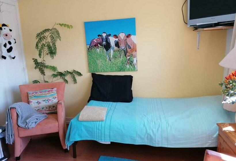 B&b Bij De Koeien