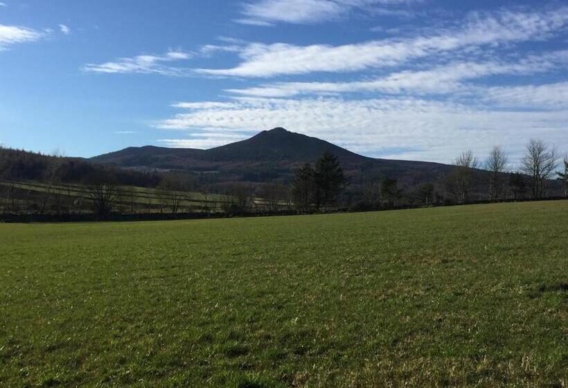 مبيت وإفطار Broadsea