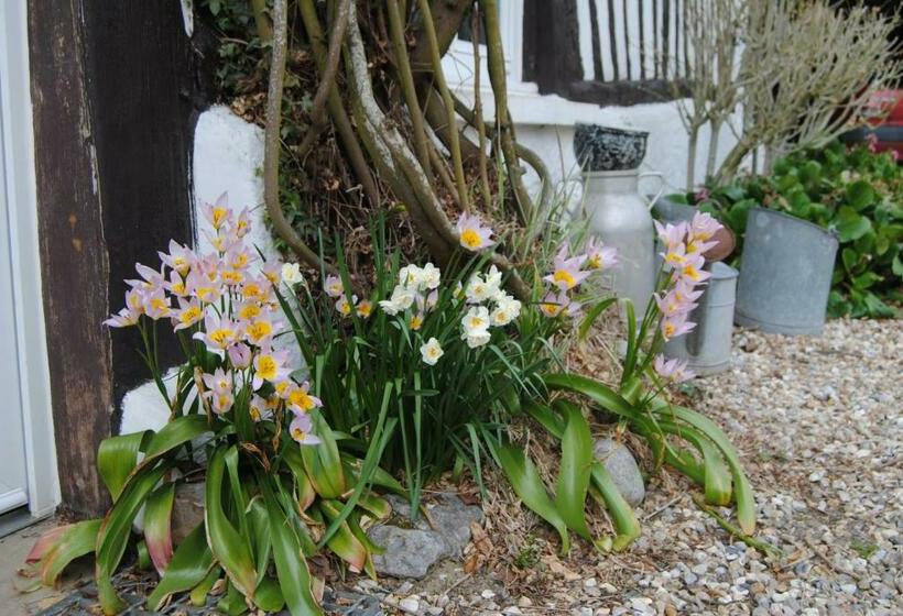 ベッドアンドブレックファースト Chambre D Hotes Murielle