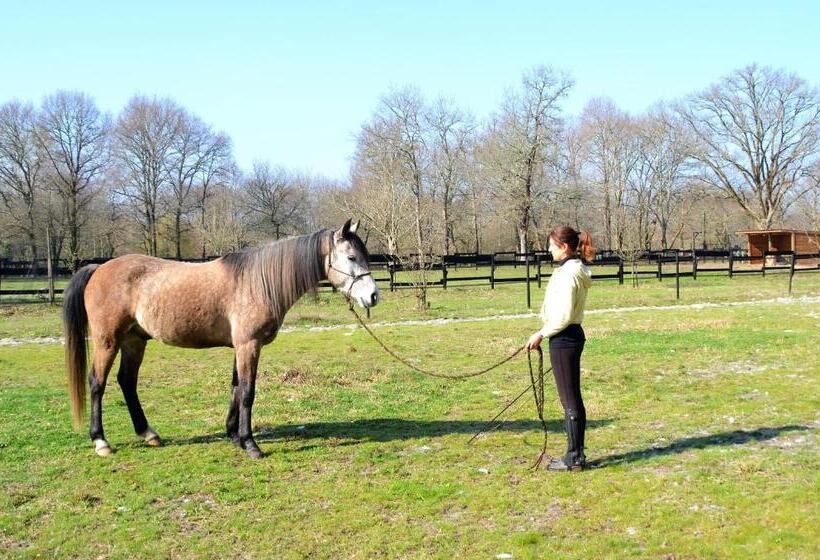 민박 Le Ranch Amadeus