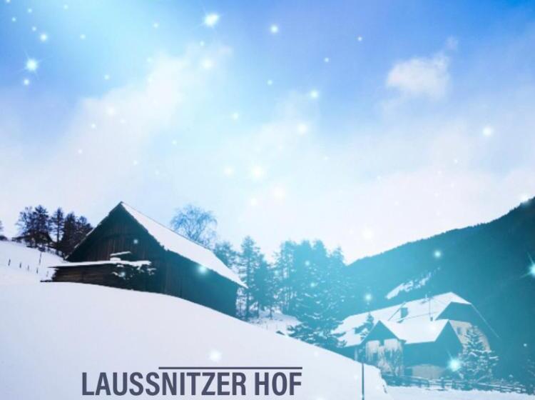 酒店 Ferienwohnung Biohof Laußnitzer In Rennweg
