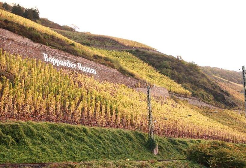 پانسیون Gemütlich Und Zentral In Boppard