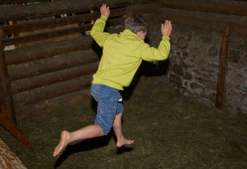 بنسيون Gut Vögeihof