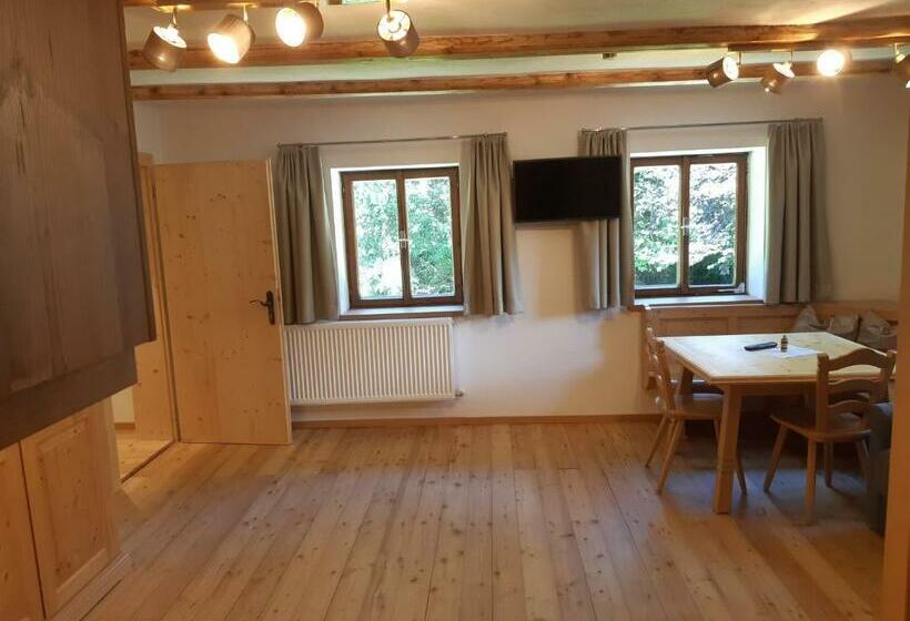 بنسيون Gut Vögeihof