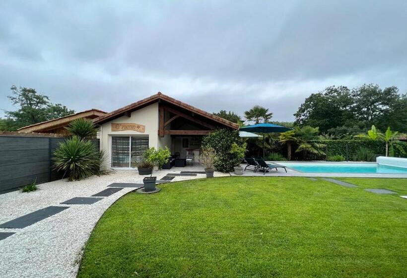 Bed and Breakfast O Pintxo