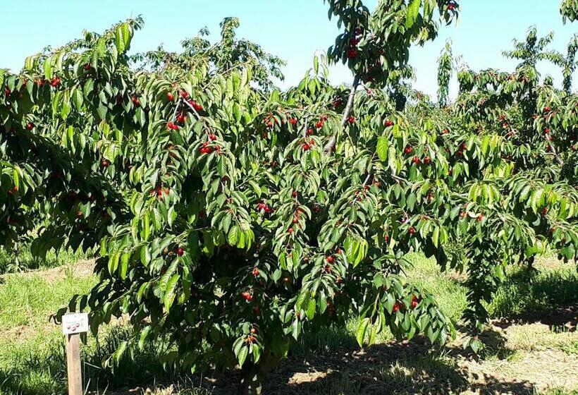 Пансион Suite La Gioconda