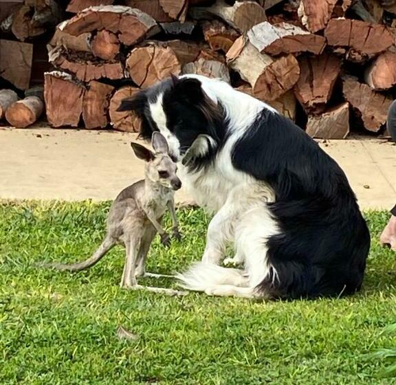 住宿加早餐  Yeoy S Cabin