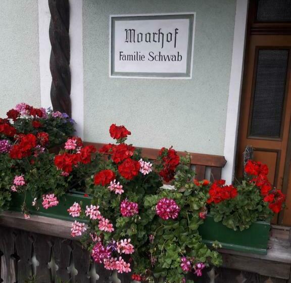 فندق Moarhof