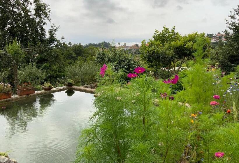 Отель Quinta Do Bravio