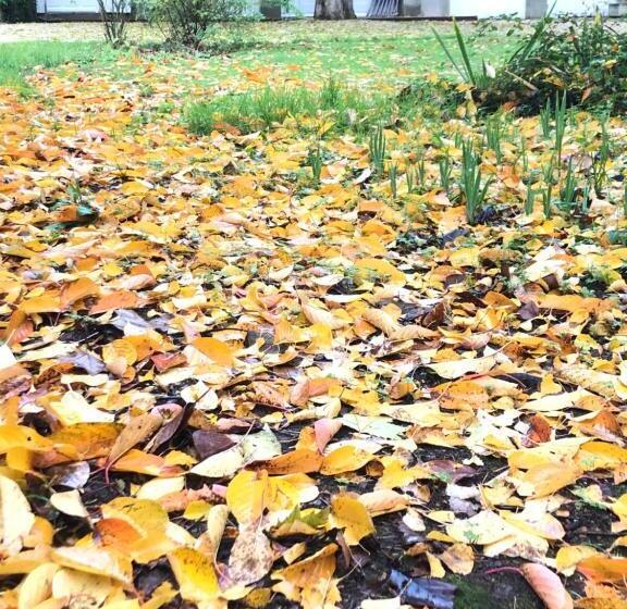 پانسیون Au Rez De Jardin