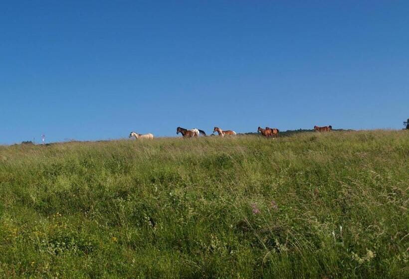 פנסיון Redspring Chambres D Hôtes