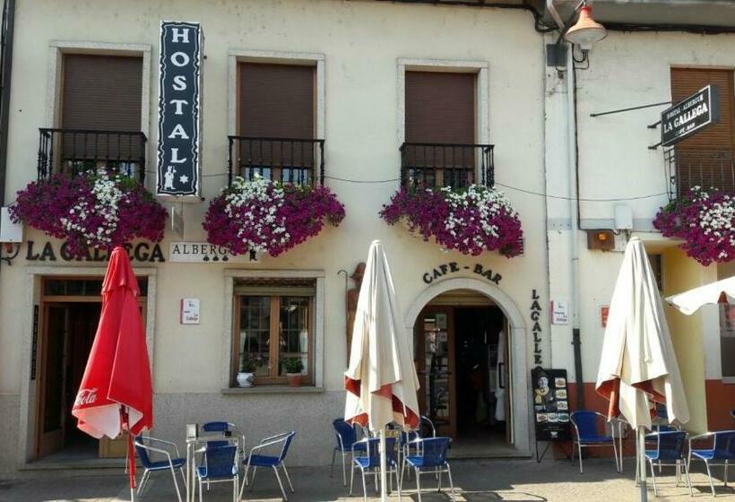 پانسیون La Gallega