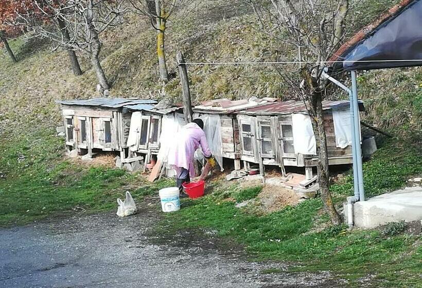 مبيت وإفطار Agricola Tre Rii Sidreria