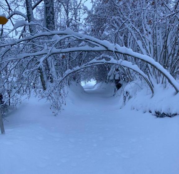 تختخواب و صبحانه Chalet Ingas
