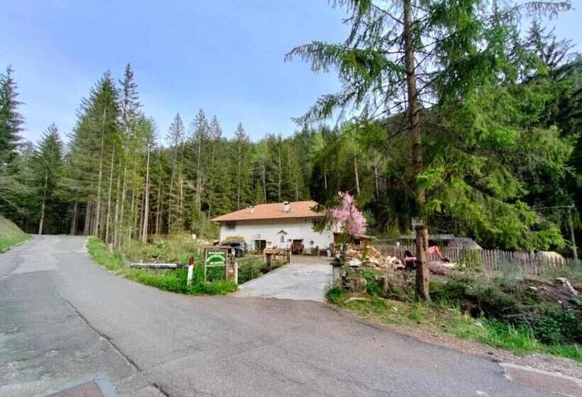 مبيت وإفطار Molindeimaghi