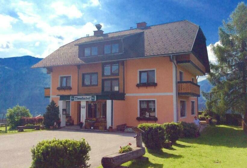 Отель Tieschnhof