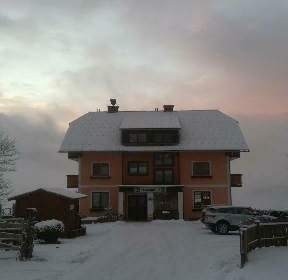 Отель Tieschnhof