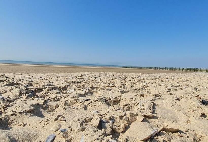 פנסיון ô De Mer   à 20m De La Plage