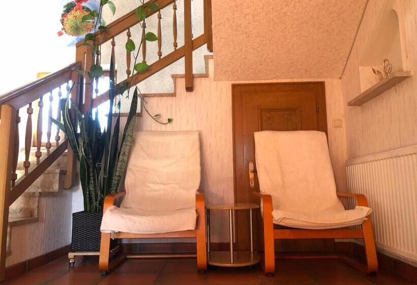 Wei Wei S Hostel