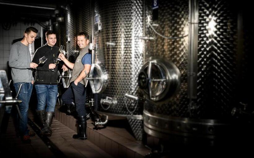 هتل Weingut Wohlfühlzimmer Adam Lieleg