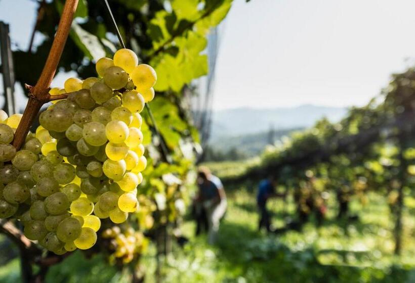 هتل Weingut Wohlfühlzimmer Adam Lieleg