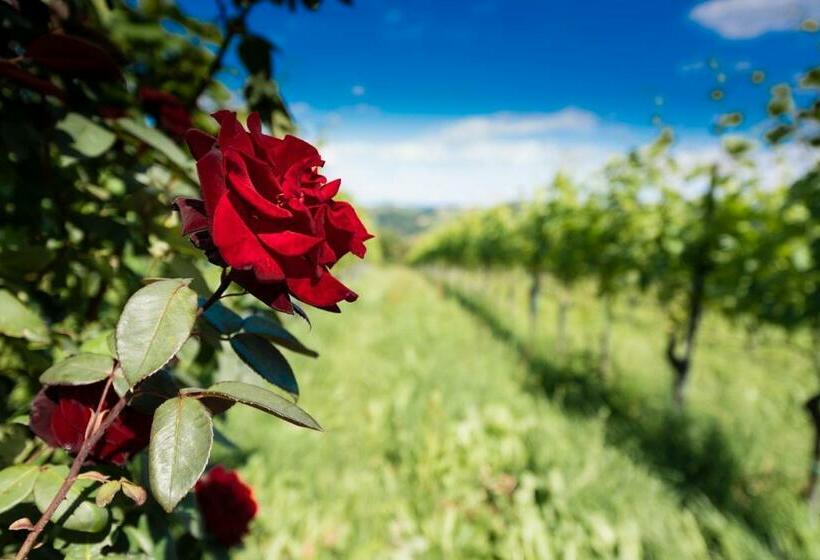 هتل Weingut Wohlfühlzimmer Adam Lieleg