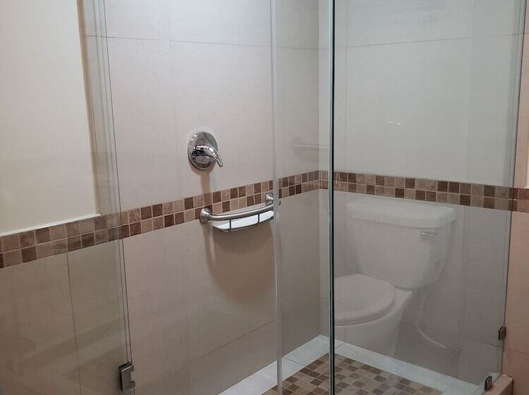 Fotos del hotel La Villa De Zaragoza:  43