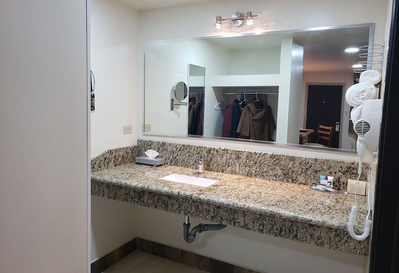 Fotos del hotel La Villa De Zaragoza:  26