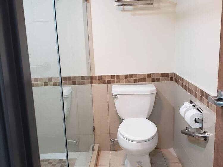 Fotos del hotel La Villa De Zaragoza:  5