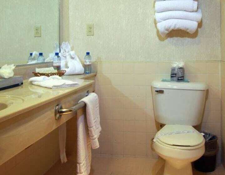 Fotos del hotel La Villa De Zaragoza:  19