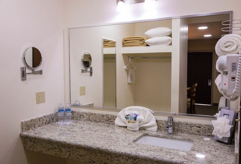 Fotos del hotel La Villa De Zaragoza:  38