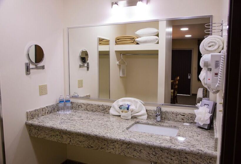 Fotos del hotel La Villa De Zaragoza:  20