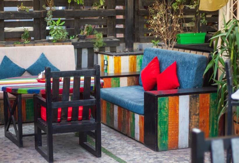 Fotos del hotel Zayed:  24