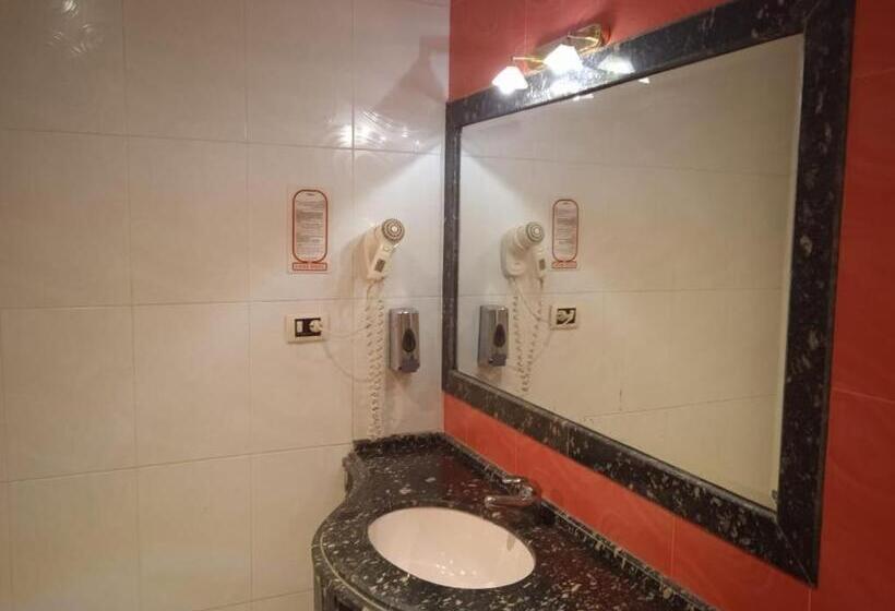 Fotos del hotel Zayed:  4