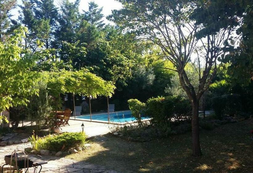 住宿加早餐  Le Clos Des Olivettes