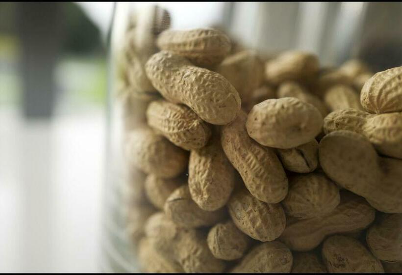 צימר Rooseboom22