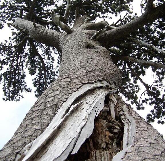 تختخواب و صبحانه Tana Libera Tutti 1 Nature, Yourself, Love