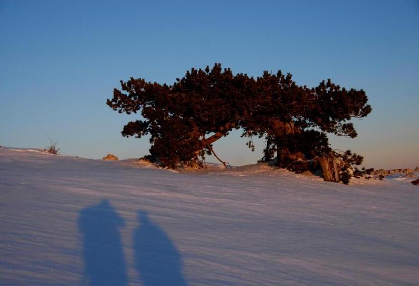تختخواب و صبحانه Tana Libera Tutti 1 Nature, Yourself, Love