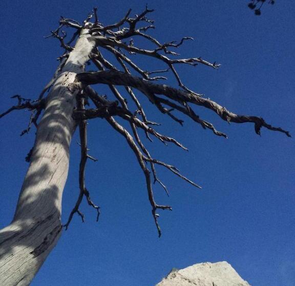 تختخواب و صبحانه Tana Libera Tutti 1 Nature, Yourself, Love