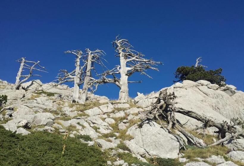 تختخواب و صبحانه Tana Libera Tutti 1 Nature, Yourself, Love