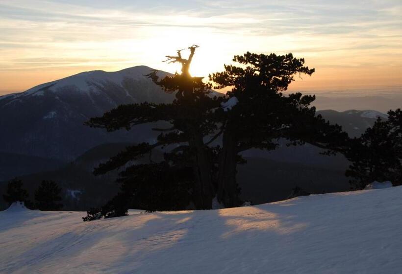 تختخواب و صبحانه Tana Libera Tutti 1 Nature, Yourself, Love