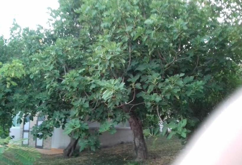 Отель Camping Agriturist Sant Anna