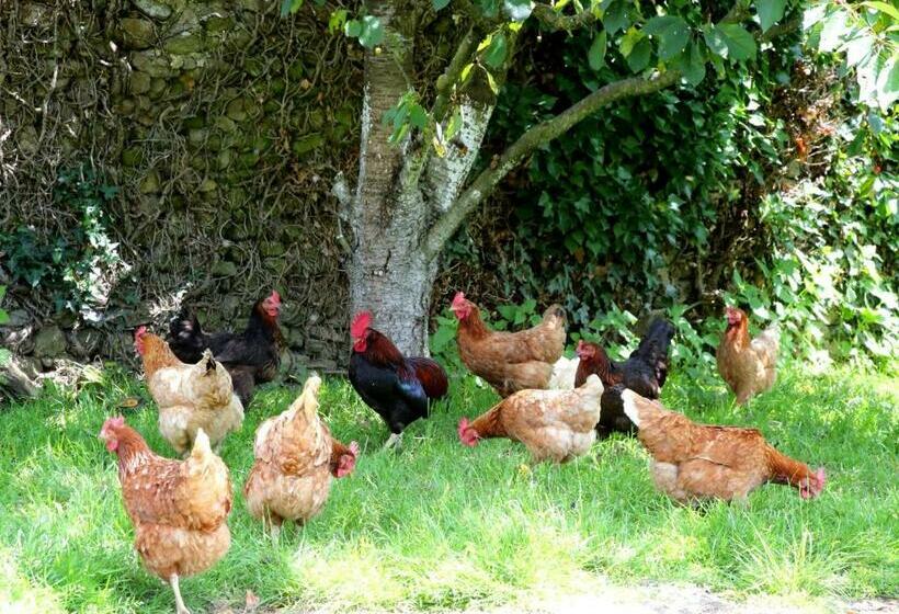 بنسيون Chambre D Hôte Courtoux