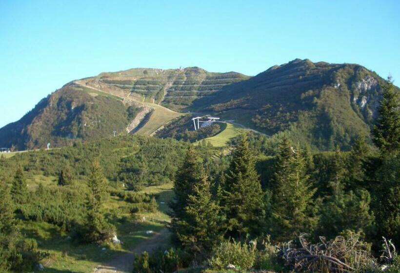 بنسيون Villa Genziana