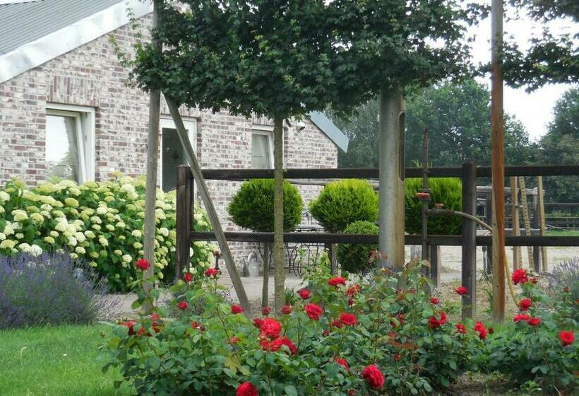 B & B  De 7 Sprong