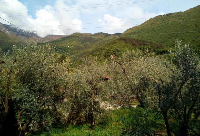 B&b Agli Ulivi