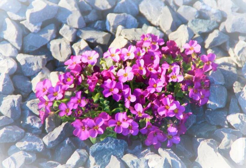Отель Bio Bauernhof Heidegger