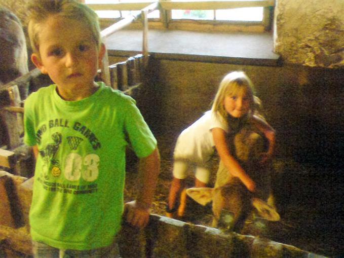 Отель Bio Berghof