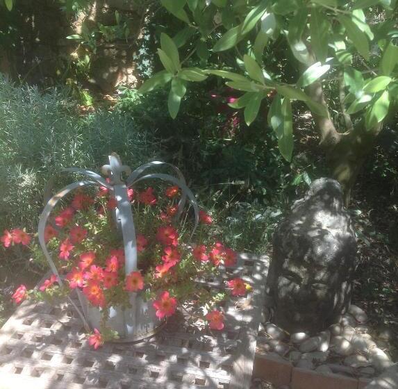 Bed and Breakfast Le Petit Figuier