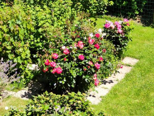 Bed and Breakfast Les Chambres Des Badious
